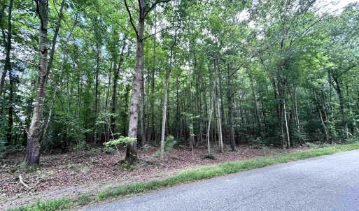 Photo #3 of TBD OLD SHORE RD, BLACKSTONE, VA 15.5 acres