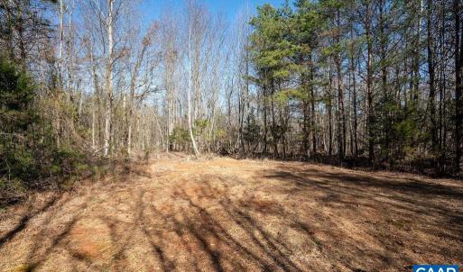 Photo #4 of FRAYS MILL RD, RUCKERSVILLE, VA 81.4 acres