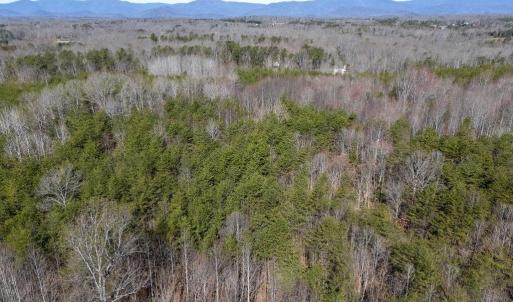 Photo #2 of FRAYS MILL RD, RUCKERSVILLE, VA 81.4 acres