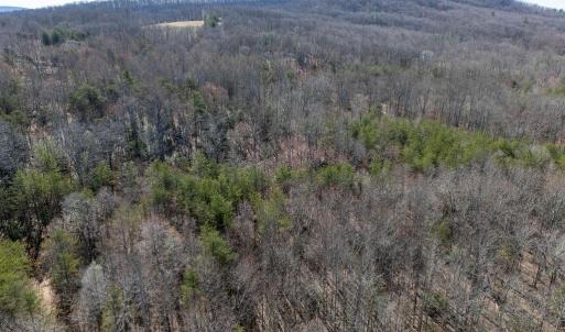 Photo #7 of FRAYS MILL RD, RUCKERSVILLE, VA 81.4 acres