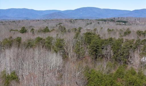 Photo #1 of FRAYS MILL RD, RUCKERSVILLE, VA 81.4 acres