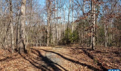 Photo #3 of FRAYS MILL RD, RUCKERSVILLE, VA 81.4 acres