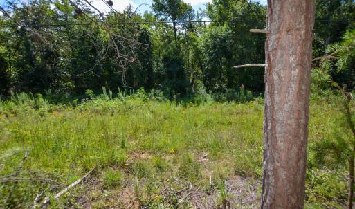Photo #7 of DUDLEY MOUNTAIN RD, NORTH GARDEN, VA 13.5 acres