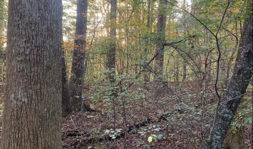 Photo #34 of DUDLEY MOUNTAIN RD, NORTH GARDEN, VA 13.5 acres