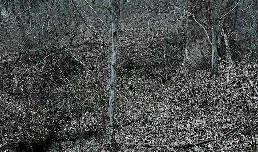 Photo #45 of DUDLEY MOUNTAIN RD, NORTH GARDEN, VA 13.5 acres