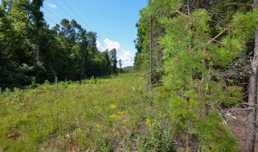 Photo #5 of DUDLEY MOUNTAIN RD, NORTH GARDEN, VA 13.5 acres
