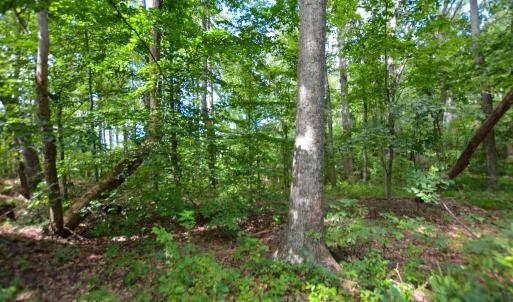 Photo #25 of DUDLEY MOUNTAIN RD, NORTH GARDEN, VA 13.5 acres