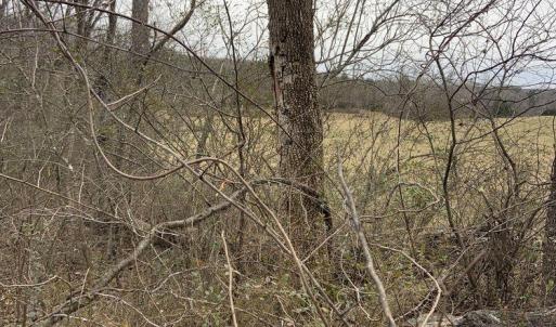 Photo #38 of DUDLEY MOUNTAIN RD, NORTH GARDEN, VA 13.5 acres