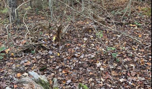 Photo #32 of DUDLEY MOUNTAIN RD, NORTH GARDEN, VA 13.5 acres