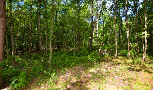 Photo #27 of DUDLEY MOUNTAIN RD, NORTH GARDEN, VA 13.5 acres