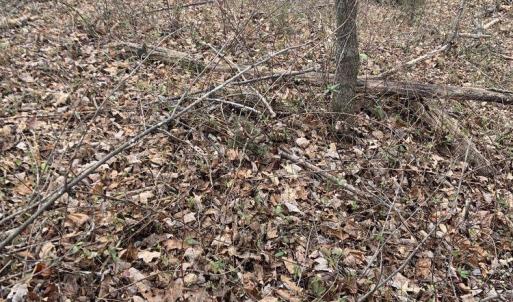 Photo #31 of DUDLEY MOUNTAIN RD, NORTH GARDEN, VA 13.5 acres