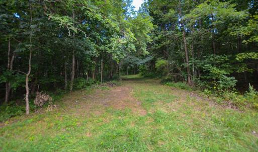 Photo #4 of DUDLEY MOUNTAIN RD, NORTH GARDEN, VA 13.5 acres