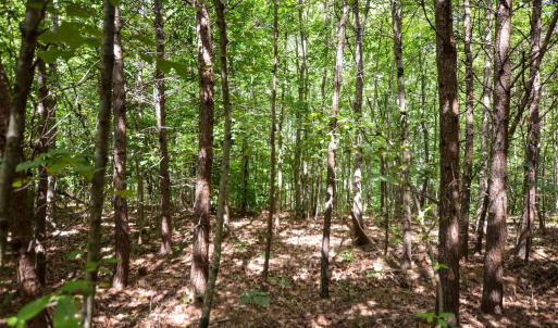 Photo #30 of DUDLEY MOUNTAIN RD, NORTH GARDEN, VA 13.5 acres