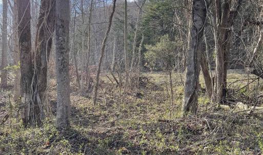 Photo #44 of DUDLEY MOUNTAIN RD, NORTH GARDEN, VA 13.5 acres