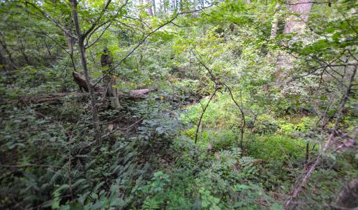 Photo #20 of DUDLEY MOUNTAIN RD, NORTH GARDEN, VA 13.5 acres