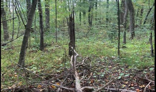 Photo #40 of DUDLEY MOUNTAIN RD, NORTH GARDEN, VA 13.5 acres