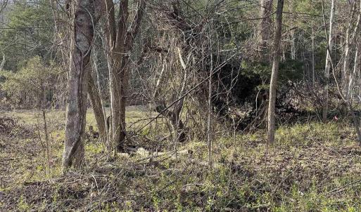 Photo #43 of DUDLEY MOUNTAIN RD, NORTH GARDEN, VA 13.5 acres