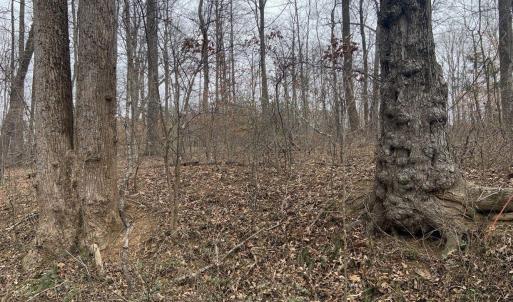 Photo #36 of DUDLEY MOUNTAIN RD, NORTH GARDEN, VA 13.5 acres