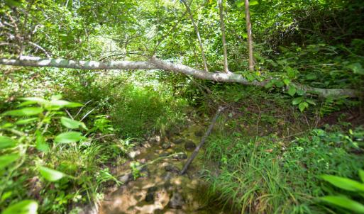 Photo #10 of DUDLEY MOUNTAIN RD, NORTH GARDEN, VA 13.5 acres