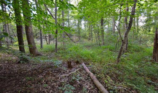 Photo #9 of DUDLEY MOUNTAIN RD, NORTH GARDEN, VA 13.5 acres