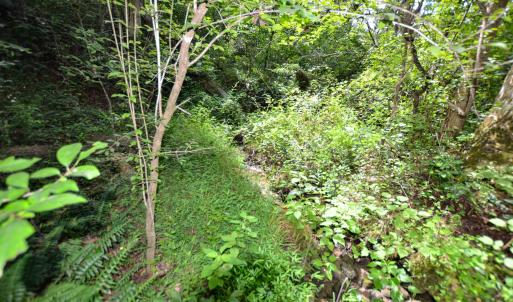 Photo #17 of DUDLEY MOUNTAIN RD, NORTH GARDEN, VA 13.5 acres
