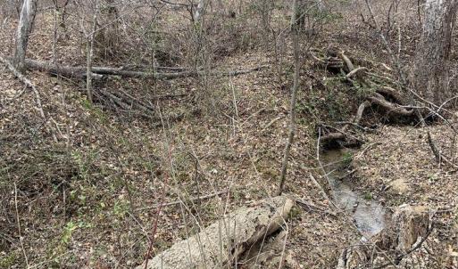 Photo #37 of DUDLEY MOUNTAIN RD, NORTH GARDEN, VA 13.5 acres