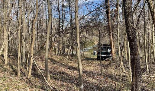 Photo #42 of DUDLEY MOUNTAIN RD, NORTH GARDEN, VA 13.5 acres