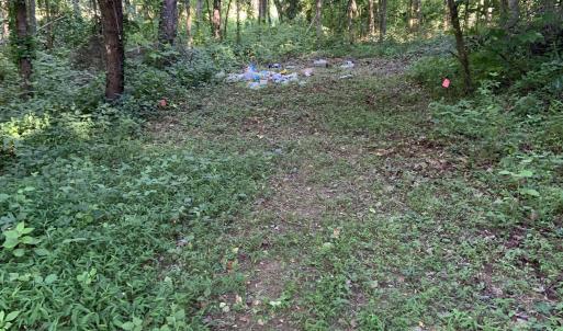 Photo #41 of DUDLEY MOUNTAIN RD, NORTH GARDEN, VA 13.5 acres