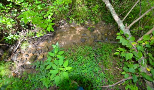 Photo #18 of DUDLEY MOUNTAIN RD, NORTH GARDEN, VA 13.5 acres