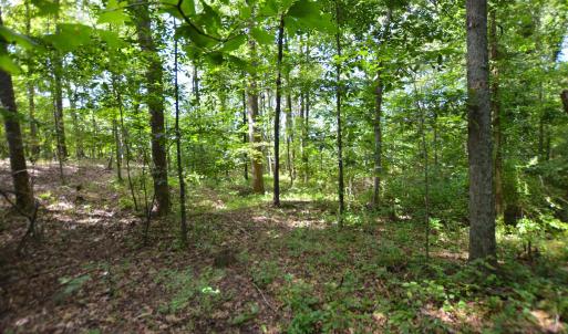 Photo #23 of DUDLEY MOUNTAIN RD, NORTH GARDEN, VA 13.5 acres