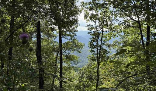 Photo #4 of 198 acres RUNIONS CREEK RD, BROADWAY, VA 198.5 acres