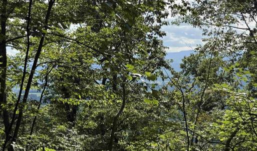 Photo #18 of 198 acres RUNIONS CREEK RD, BROADWAY, VA 198.5 acres