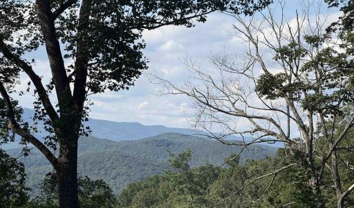 Photo #1 of 198 acres RUNIONS CREEK RD, BROADWAY, VA 198.5 acres