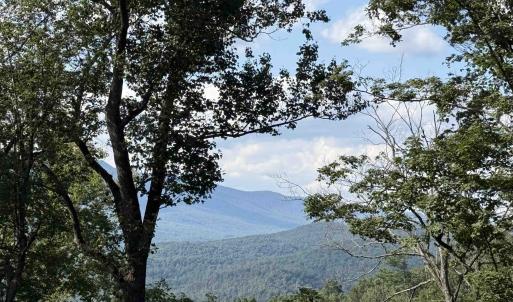 Photo #14 of 198 acres RUNIONS CREEK RD, BROADWAY, VA 198.5 acres