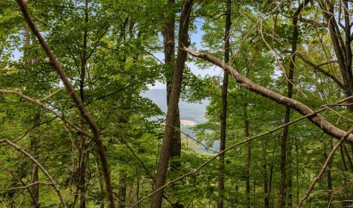 Photo #55 of 198 acres RUNIONS CREEK RD, BROADWAY, VA 198.5 acres