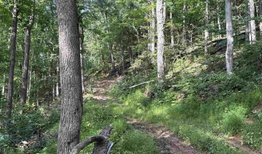 Photo #11 of 198 acres RUNIONS CREEK RD, BROADWAY, VA 198.5 acres