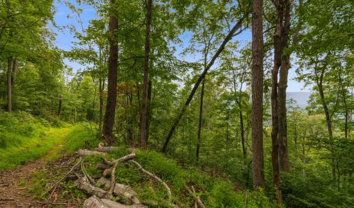 Photo #57 of 198 acres RUNIONS CREEK RD, BROADWAY, VA 198.5 acres