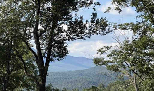 Photo #13 of 198 acres RUNIONS CREEK RD, BROADWAY, VA 198.5 acres