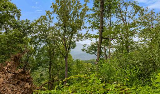 Photo #58 of 198 acres RUNIONS CREEK RD, BROADWAY, VA 198.5 acres