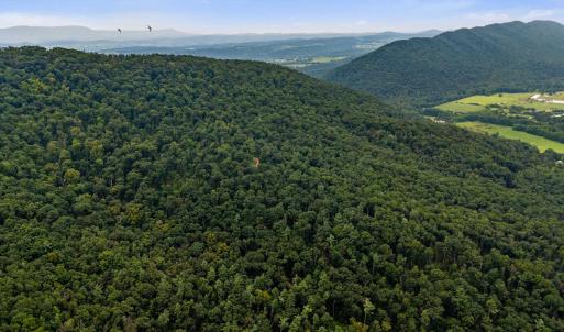 Photo #43 of 198 acres RUNIONS CREEK RD, BROADWAY, VA 198.5 acres
