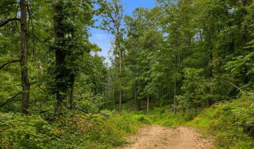 Photo #59 of 198 acres RUNIONS CREEK RD, BROADWAY, VA 198.5 acres