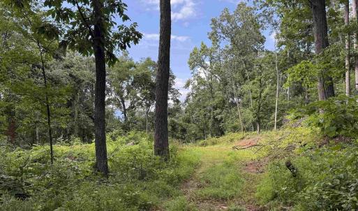 Photo #26 of 198 acres RUNIONS CREEK RD, BROADWAY, VA 198.5 acres
