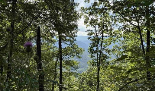 Photo #15 of 198 acres RUNIONS CREEK RD, BROADWAY, VA 198.5 acres
