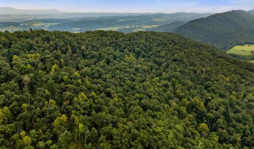 Photo #41 of 198 acres RUNIONS CREEK RD, BROADWAY, VA 198.5 acres