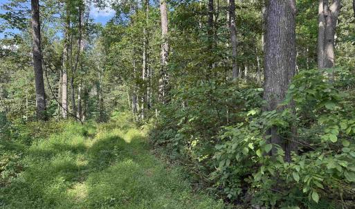 Photo #25 of 198 acres RUNIONS CREEK RD, BROADWAY, VA 198.5 acres