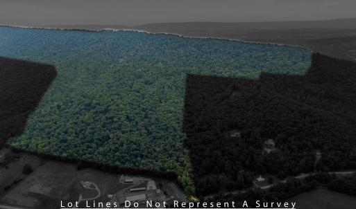 Photo #3 of 198 acres RUNIONS CREEK RD, BROADWAY, VA 198.5 acres