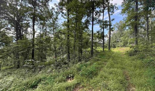 Photo #28 of 198 acres RUNIONS CREEK RD, BROADWAY, VA 198.5 acres