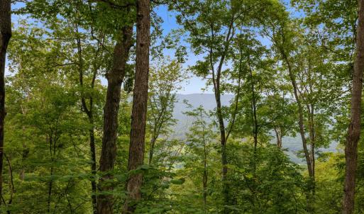 Photo #56 of 198 acres RUNIONS CREEK RD, BROADWAY, VA 198.5 acres