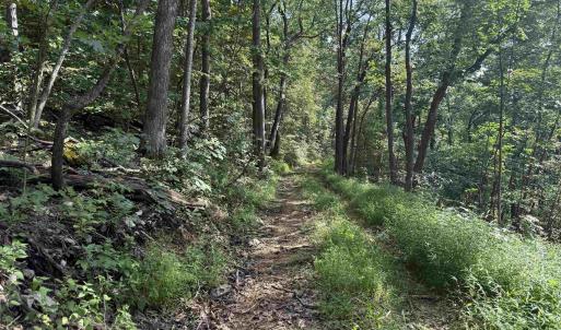 Photo #8 of 198 acres RUNIONS CREEK RD, BROADWAY, VA 198.5 acres