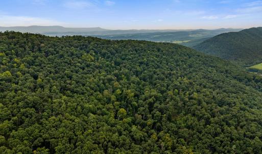 Photo #42 of 198 acres RUNIONS CREEK RD, BROADWAY, VA 198.5 acres